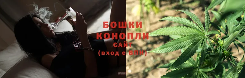 Бошки марихуана OG Kush  нарко площадка телеграм  Шенкурск 